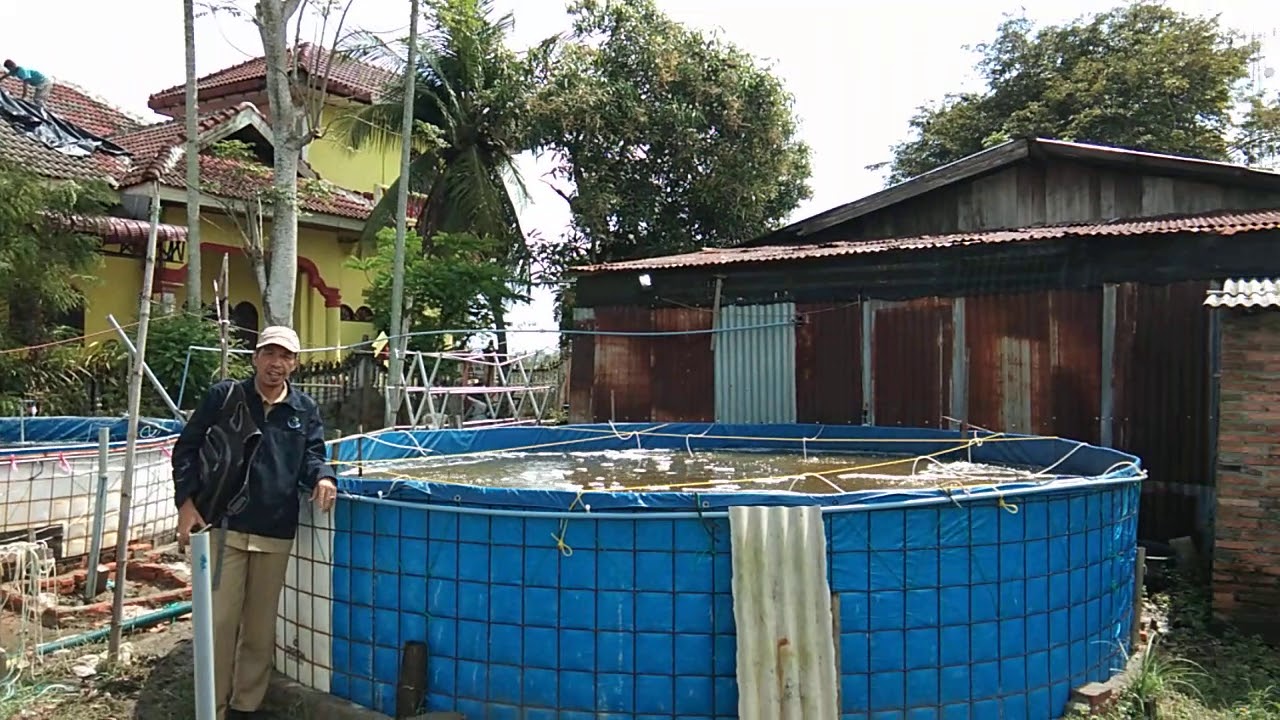 kolam terpal bioflok 