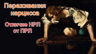 Переживания нарцисса. Отличие НРЛ от ПРЛ. Психология нарциссизма