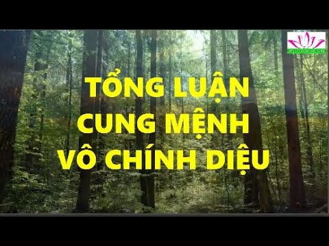 Video TỔNG LUẬN CUNG MỆNH VÔ CHINH DIỆU - youtube