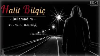 Halit bilgiç--bulamadım