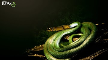 Sound - Glitch FX | AudioJungle Download