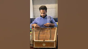 Janam Janam Instrumental Santoor | Ninad Daithankar | Private Music Concerts - #shorts