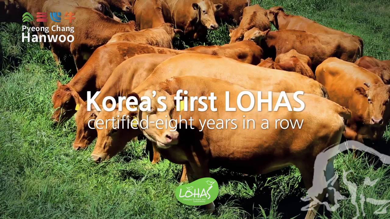 Pyeongchang Hanwoo - World Best Beef - YouTube