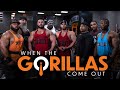 The Gorilla Gang at the OG