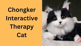 Meet PERCY, The NEWEST Baby In The Nursery~ Chongker Interactive Cat~