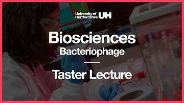 Biosciences - Taster Lecture - Bacteriophage