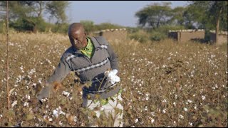 Igunga District Project Tanzania