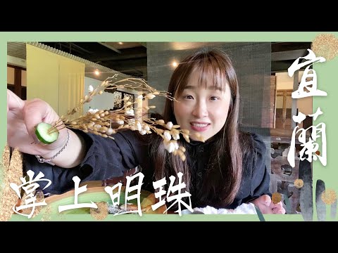 掌上明珠 無菜單料理美食餐廳 這裡竟然有鳥園、美術館