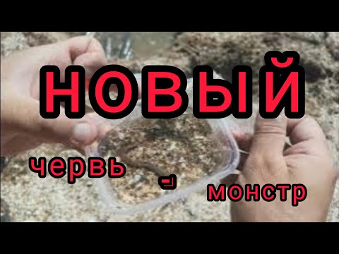 Видео: Новый уровень рыбалки. Я думал, что по рыбалке я знаю все, но нет.