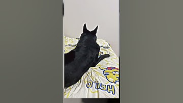 Praktische lichtschakelaar-hack #LifeHack #SimpleTrick