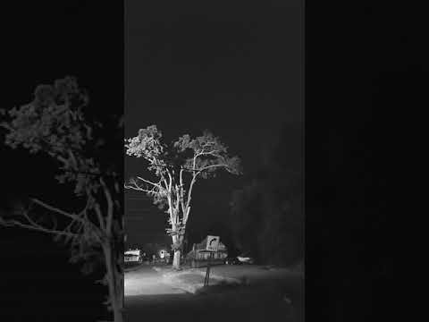 Video: På Himlen över Delstaten Arkansas Dök Upp 5 UFO: Er Och En Ovanlig Glöd - - Alternativ Vy