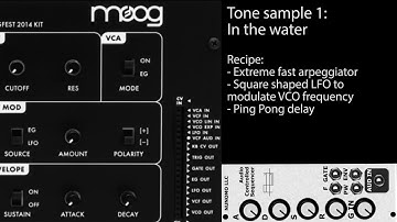 Moog Werkstatt + ACS tone tone samples / demo