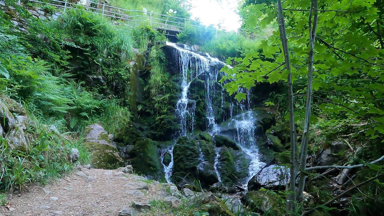 Waterfall Walk Near Feldberg | The Magic of Fahler Wasserfall