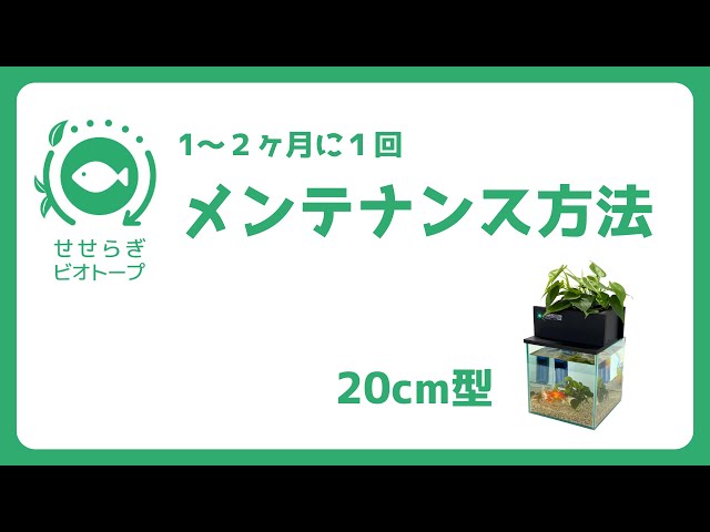 せせらぎビオトープ【20cm型】 メンテナンス方法 - YouTube