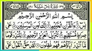 Surah Yasin(Yaseen)Surah Rahman Beautiful recitation|Ayatul Kursi tilawat|Manzil Dua Surah Mulk(548)