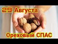 29 августа - ореховый хлебный спас. Ореховый спас! Хлебный спас! Поздравление с ореховым спасом.