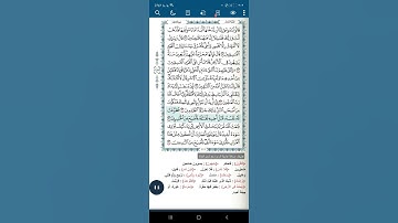 سورة المائدة آية(٣٠)