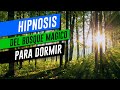 Hipnosis para dormir guiada: Explora un bosque mágico