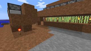 Minecraft - Long Delay (Looping) - (Sugarcane Farm)