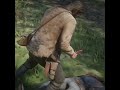 Rdr2 horse locations // Rdr2 horse mode 2025#rdr2gameplay