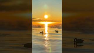 Мгновение Восхода Солнца На Озере Сайрам 🤩