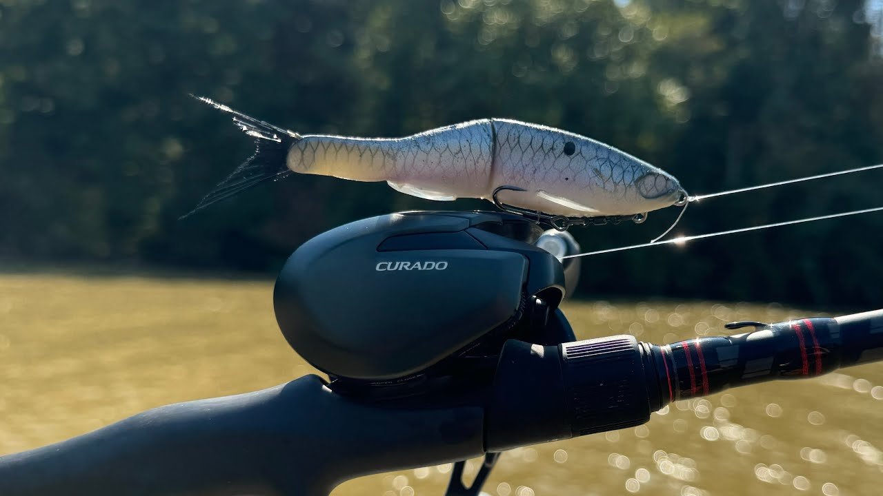 Top water Fishing Muddy aftermath of Hurricane Helene! I Found the Bass!