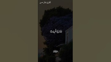 #سورة_يس #اكسبلور #الرحمن #القرآن_الكريم #تيك_توك #المصحف #سورة_الواقعة #القزابري #ترند_تيك_توك