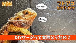 爬虫類 自作ケージ フトアゴ アオジタ【取引中】 mqdefault.jpg