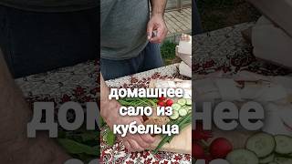 Домашнее сало из кубельыа. #еда #готовимдома #кухня #салоизкубельца