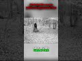 Is Bigfoot Just A Photoshopped Stump? The Evidence DEBUNKED! #shorts