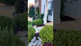 Never worry about lawn care again! 🌱