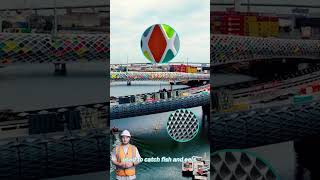 Timber Net Design Explainer