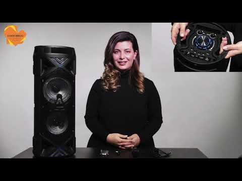 დინამიკის ვიდეო მიმოხილვა