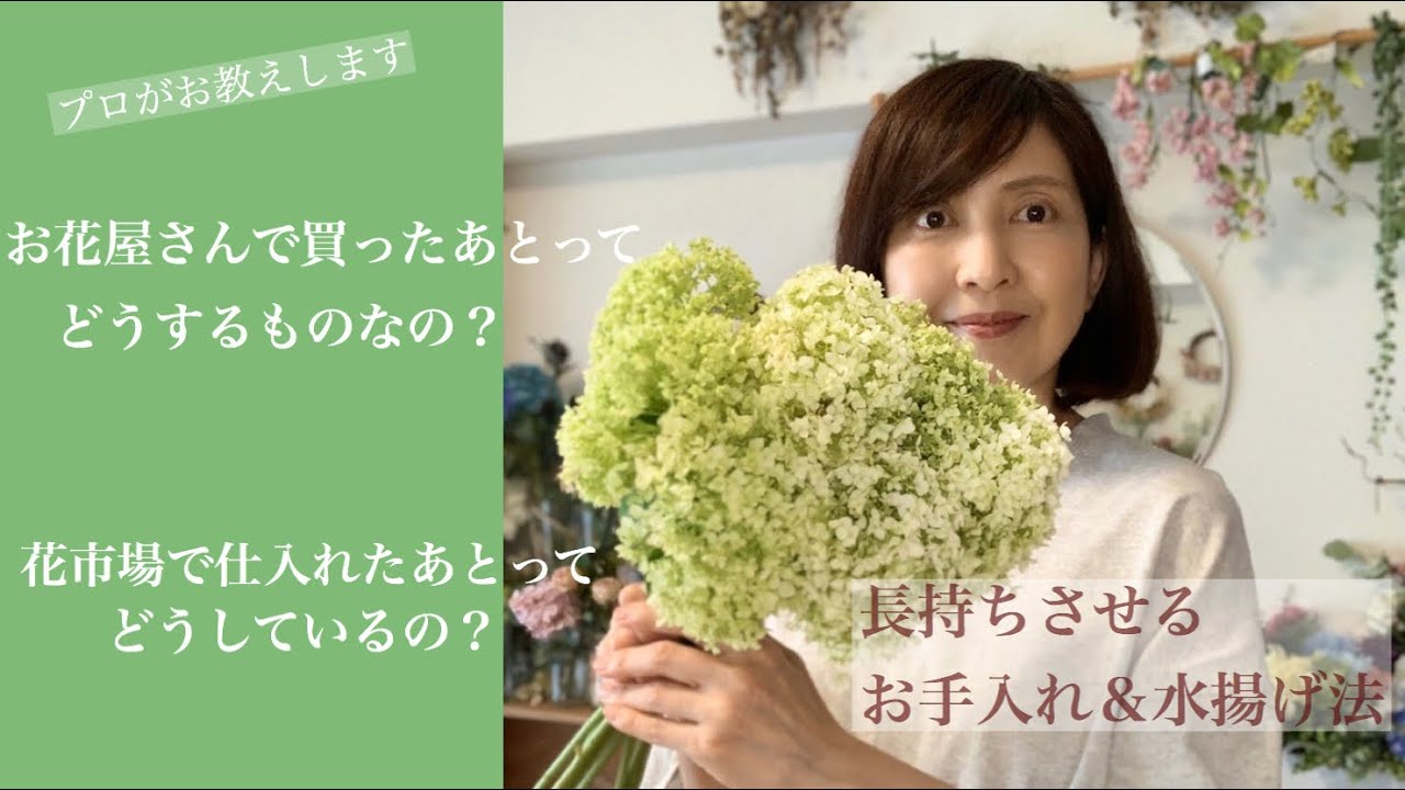 購入後 お花を長持ちさせるお手入れと水揚げ Youtube