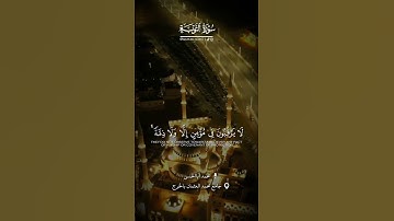 القارئ محمد أبالحسن || تلاوة من سورة التوبة