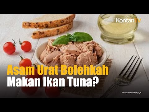 Video: Apa yang dimakan tuna?