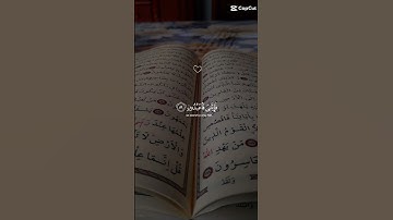 قران كريم استخدم الصوت ❤️🕋🙂