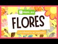  vocabulario de las flores en espaol  profedeelees