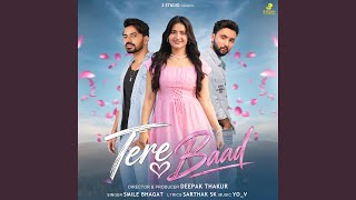 Tere Baad