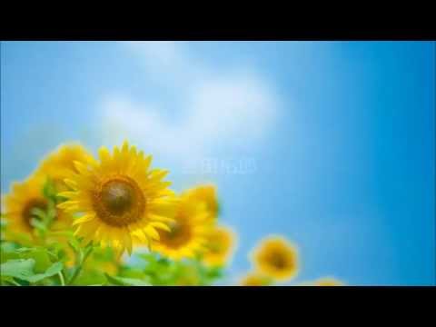 夏休み　ｃｏｖｅｒ