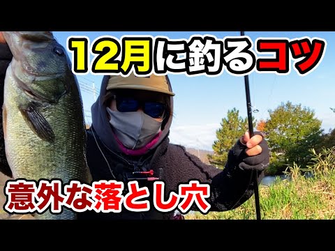 【バス釣り】12月冬の難しい状況での釣り方やコツ!!釣れない理由や釣れる時間・タイミングなどを徹底解説してみた【厳寒期】【ワーム】【雪が降るとプラス】