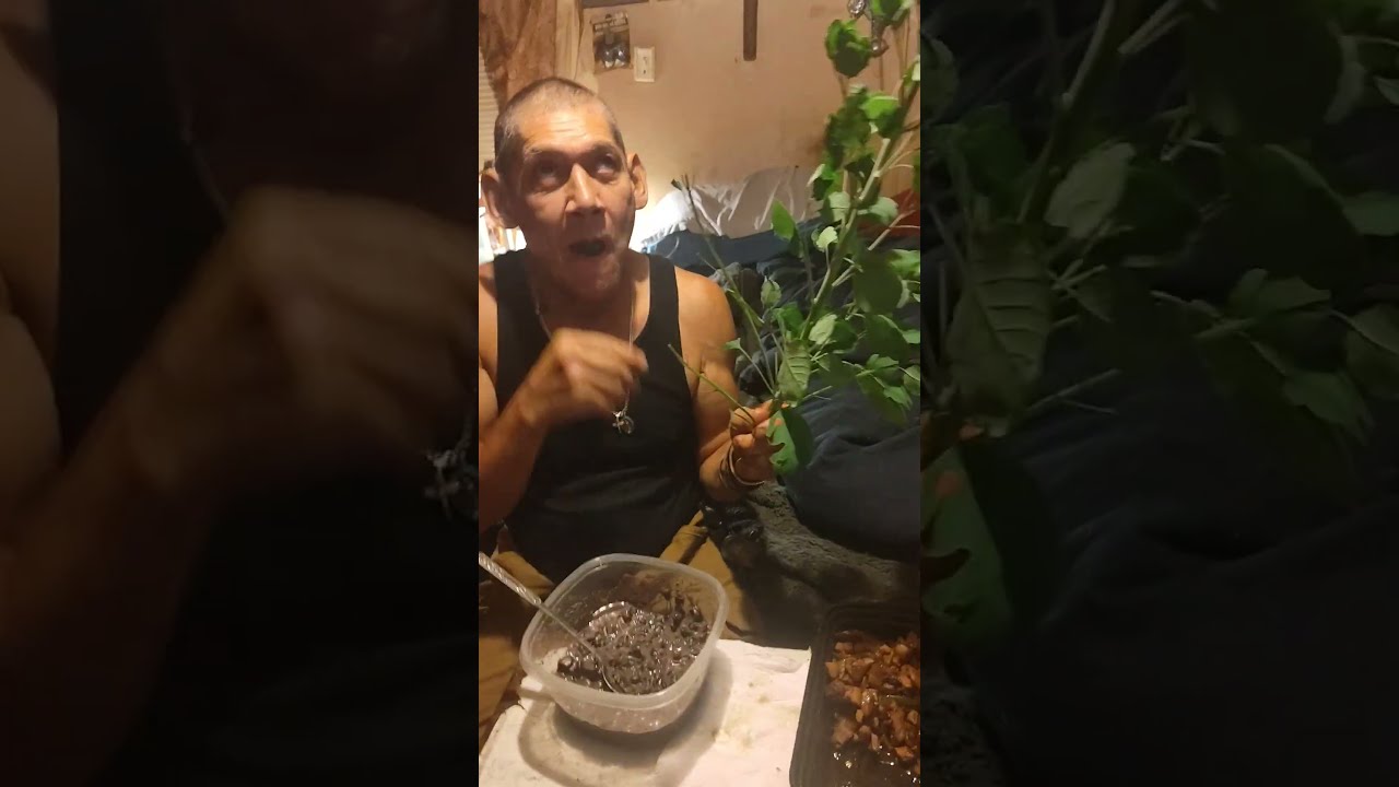 Country Cookin With Casey My Husband In Spanish YouTube Country Cookin With Casey My Husband In Spanish YouTube