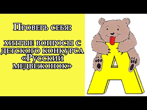 Проверь себя: хитрые вопросы с детского конкурса «Русский медвежонок»