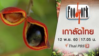 Foodwork : เกาลัดไทย (12 พ.ย. 60)