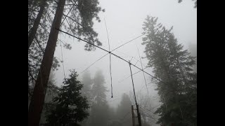 Big Bamboo 11-meter Quad Antenna