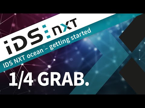 How to grab images for the IDS NXT ocean AI workflow