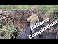 Beaver Dam COLLAPSE COMPILATION! 4K