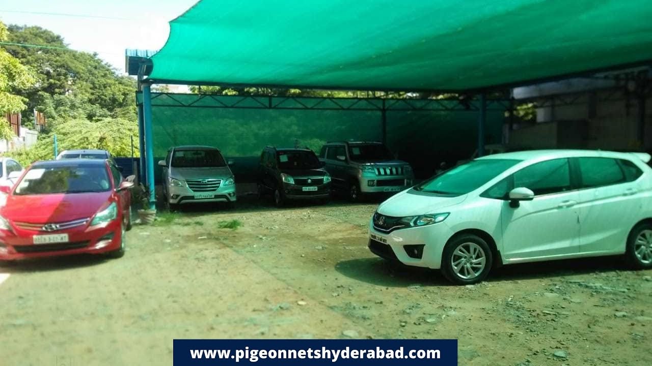 how-do-i-protect-my-car-from-pigeons-in-car-parking-areas-youtube