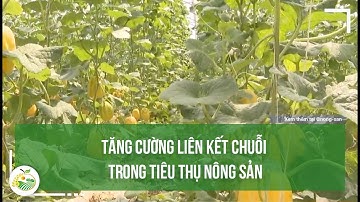 Tăng cường liên kết chuỗi trong tiêu thụ nông sản