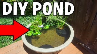 Cheap DIY BACKYARD MINI Pond!